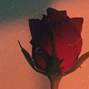 Meet your Posher, Mariah